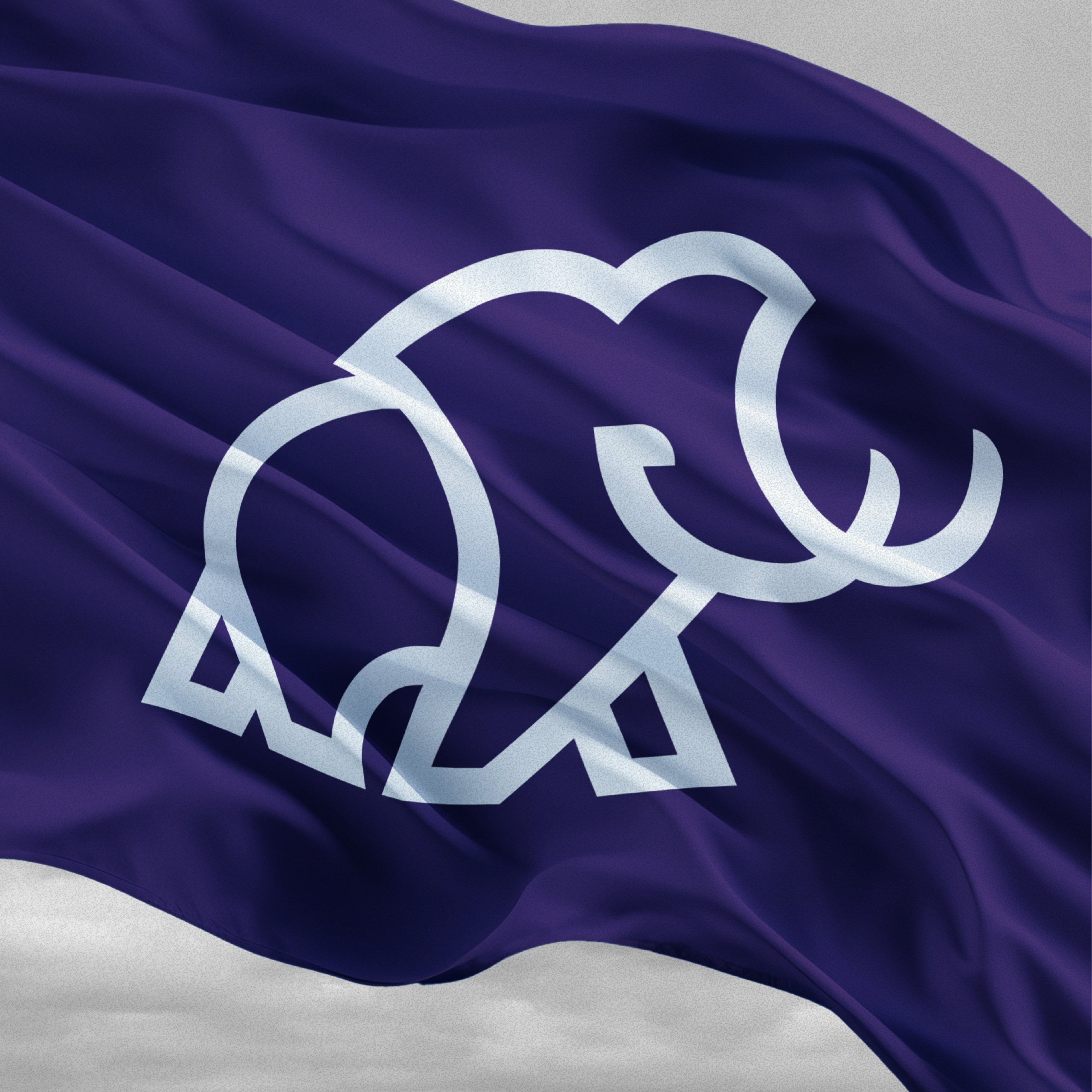 Bellevue University Becomes a MMTH 360 School